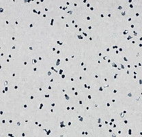 Линолеум Forbo Sphera Ec 450017 ivory фото 1 | FLOORDEALER